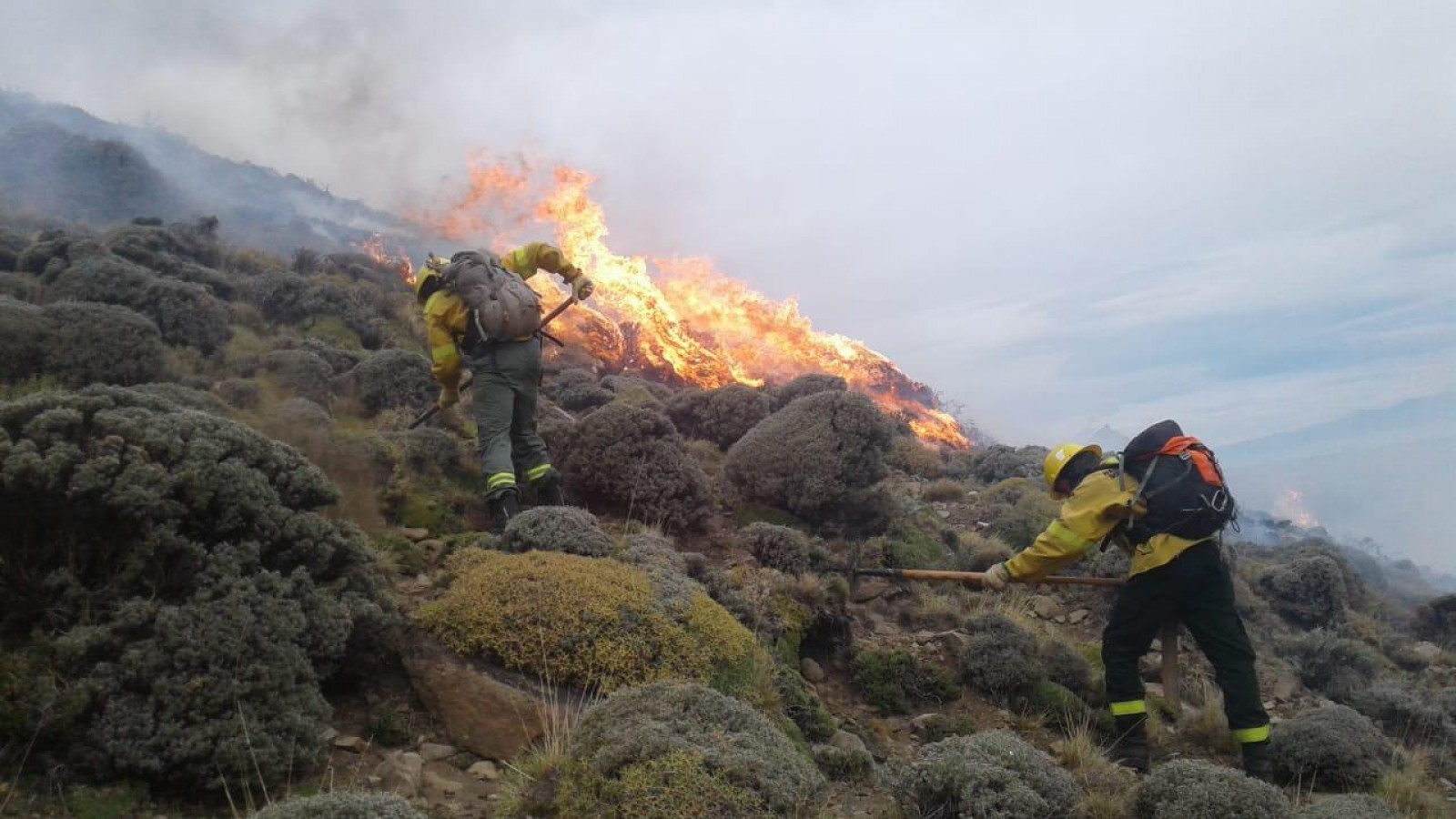 Estiman que fueron 80 las hectáreas afectadas por el fuego en El Chaltén